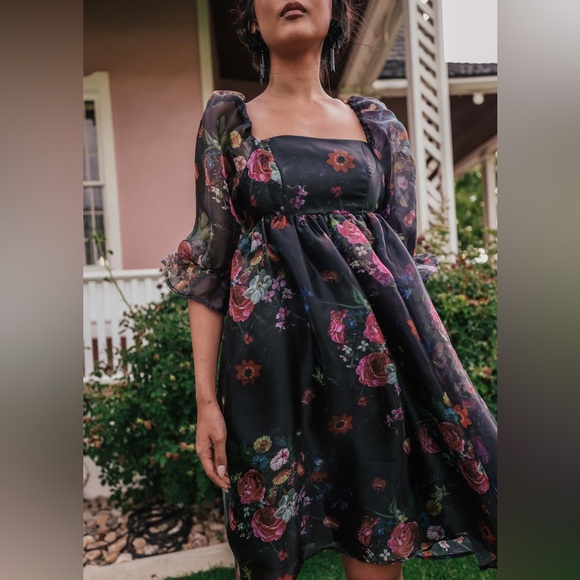 NWT JessaKae Polly Dress (2X) - Picture 3 of 12